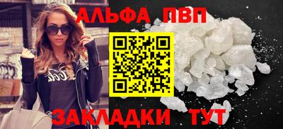 ешки Кингисепп