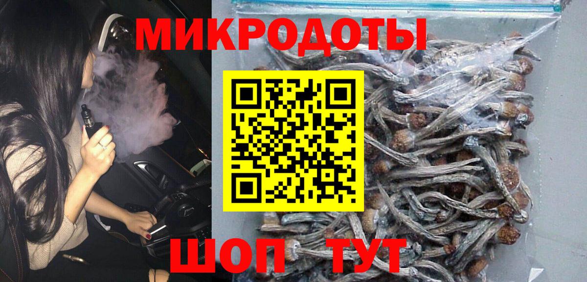 Галлюциногенные грибы Psilocybine cubensis Смоленск