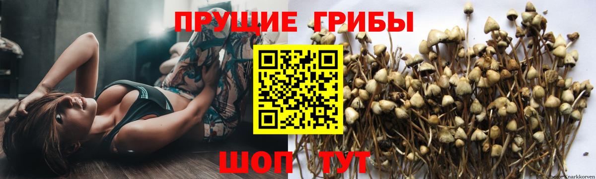 Псилоцибиновые грибы GOLDEN TEACHER  Вход с VPN  Галлюциногенные грибы ЛСД  Смоленск 